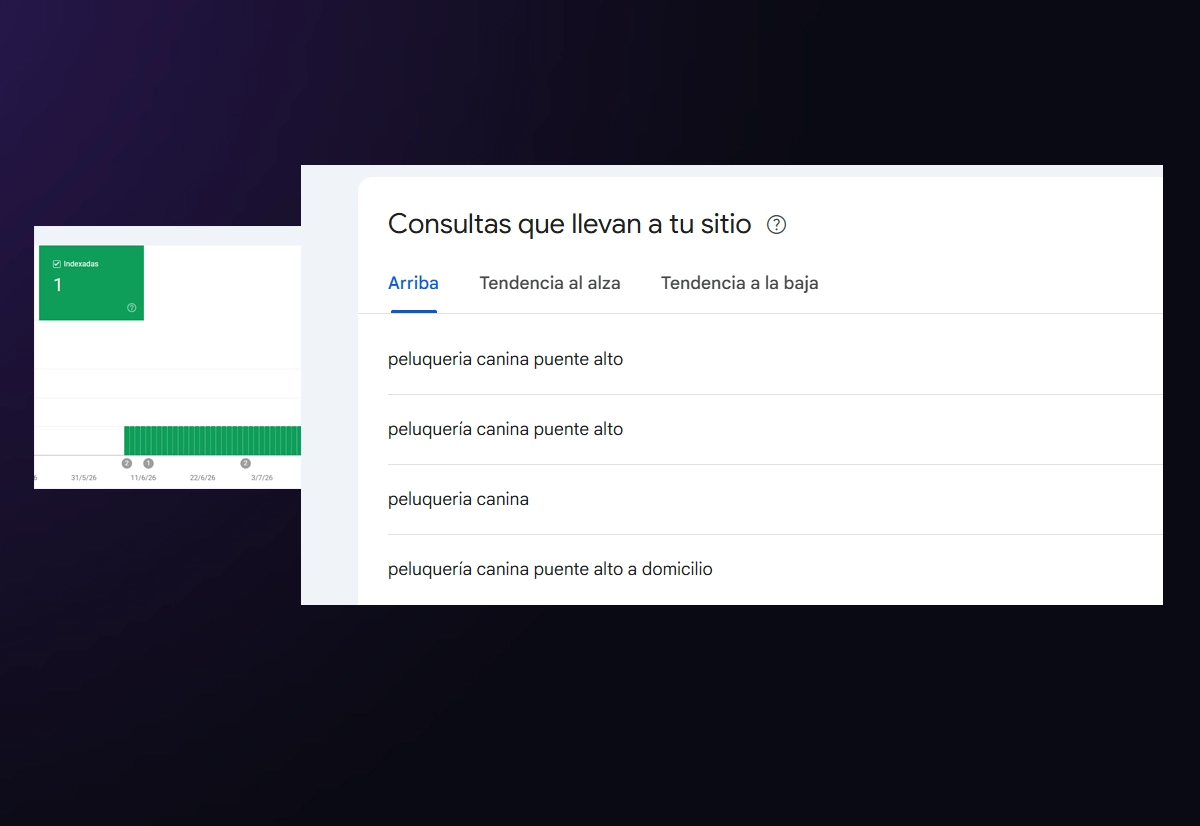 Google Search Console de Perrichic mostrando el sitio indexado correctamente