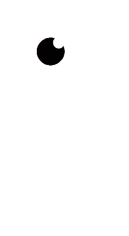 Pupila Marketera